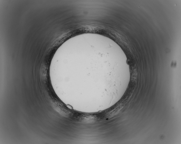 X0000096650456200803041153