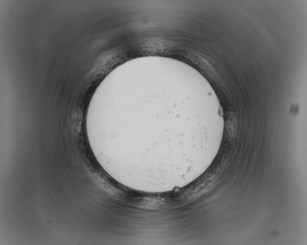 X0000096650458200803041153