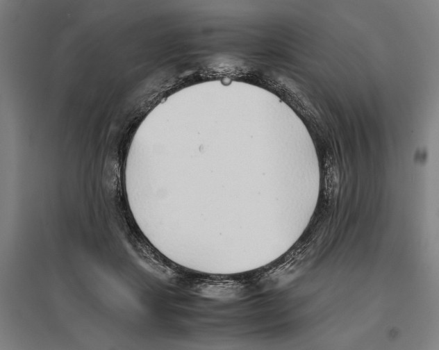 X0000096650459200803041153