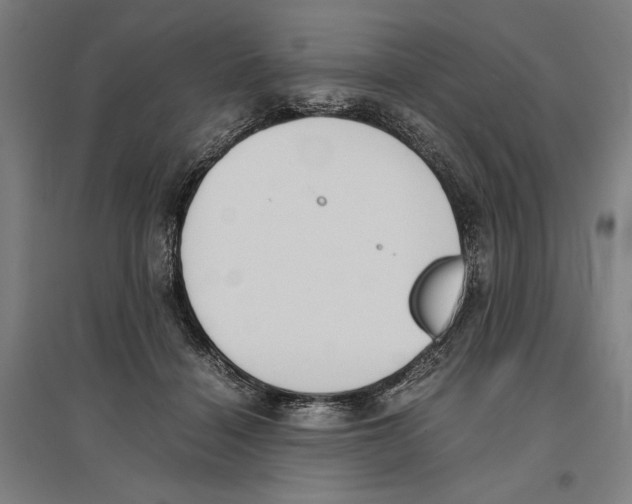 X0000096650460200803041153