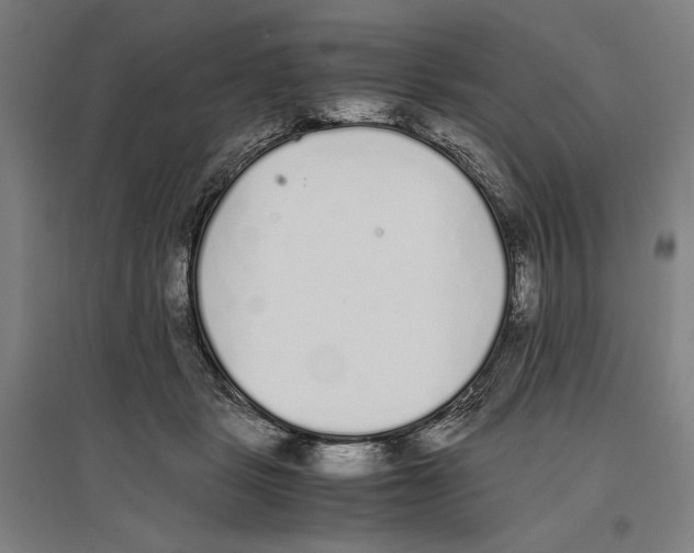 X0000096650461200803041153