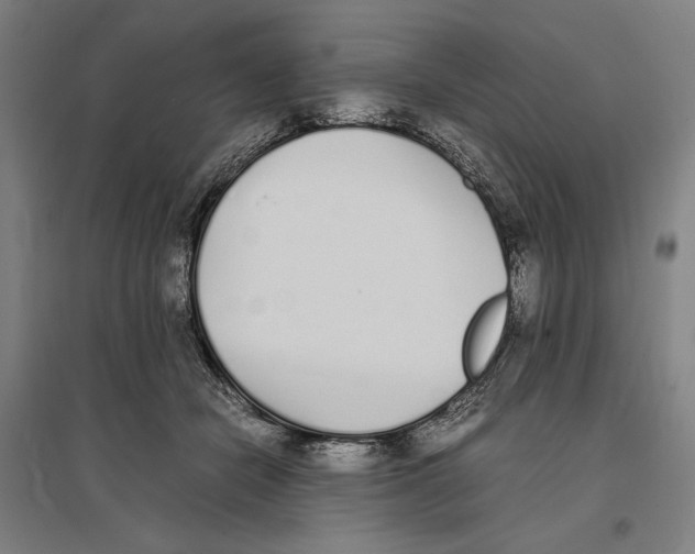 X0000096650462200803041153