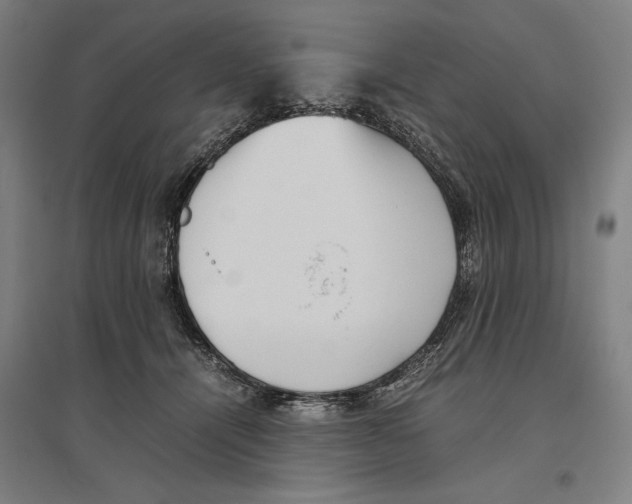 X0000096650464200803041153