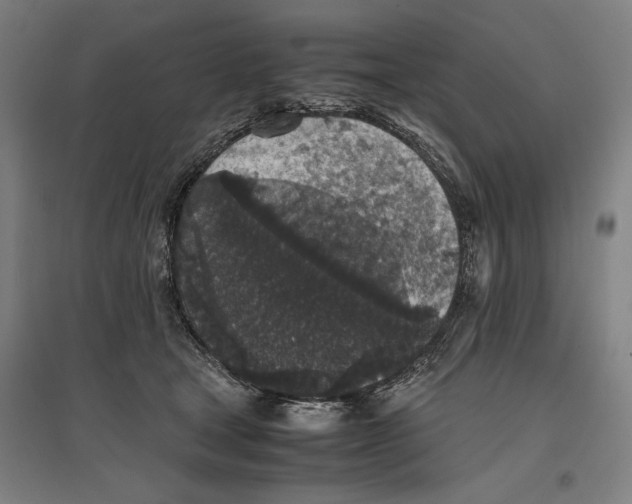 X0000096650465200803041153