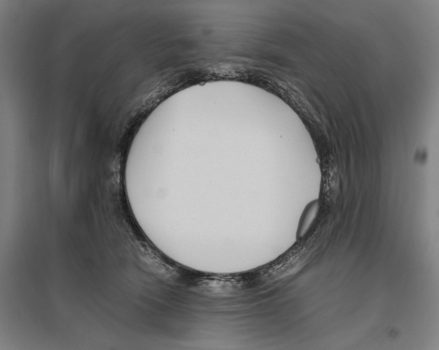 X0000096650466200803041153