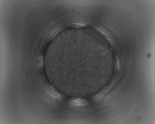 X0000096650467200803041153