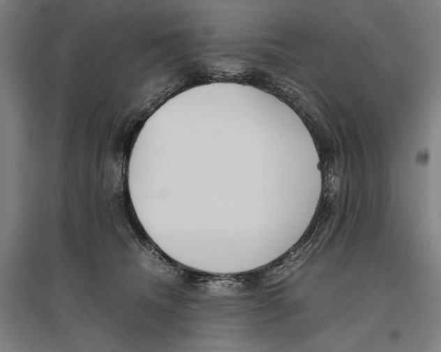 X0000096650468200803041153