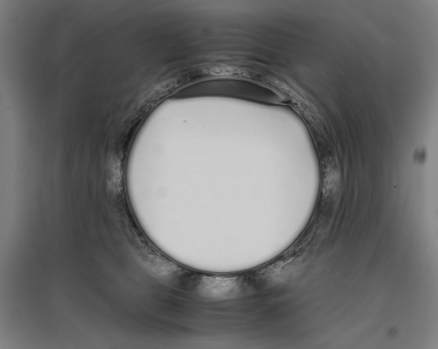 X0000096650469200803041153