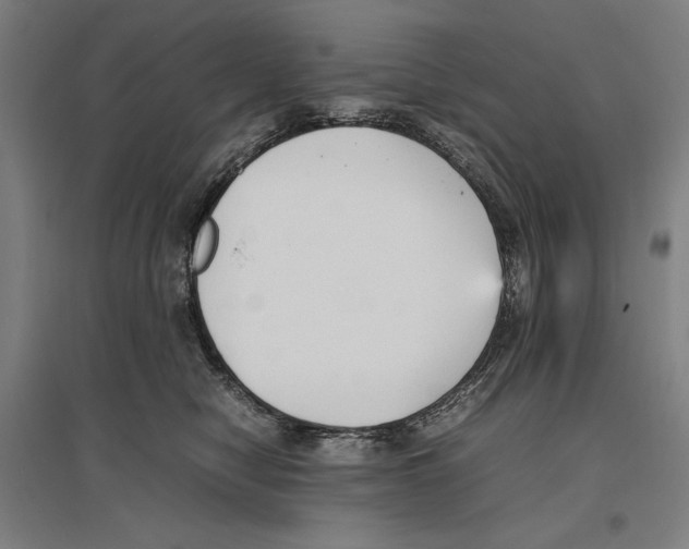 X0000096650470200803041153