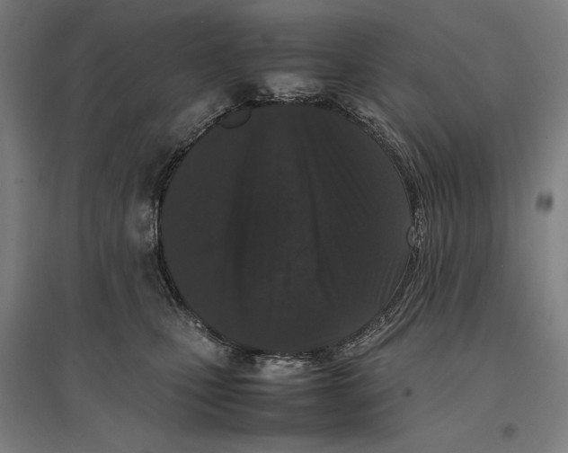 X0000096650471200803041153