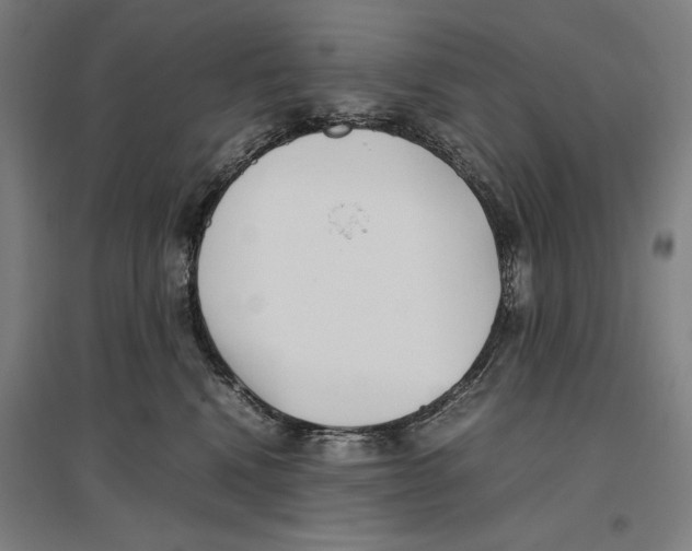 X0000096650472200803041153