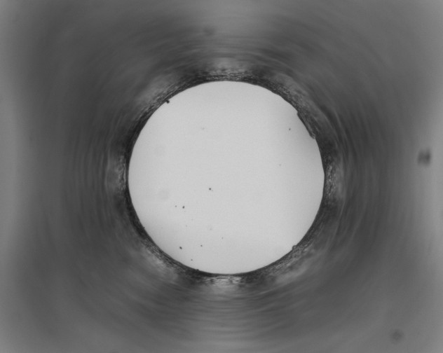 X0000096650474200803041153