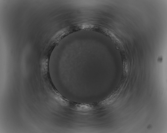 X0000096650475200803041153