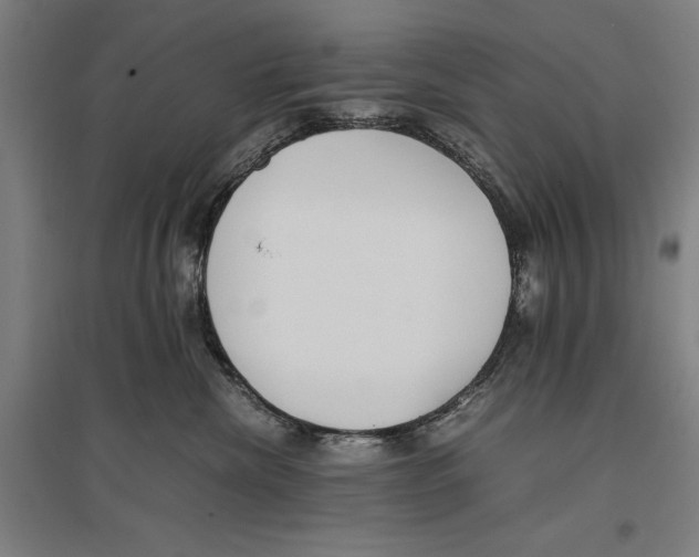 X0000096650476200803041153