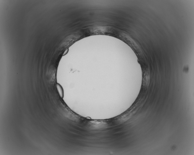 X0000096650477200803041153