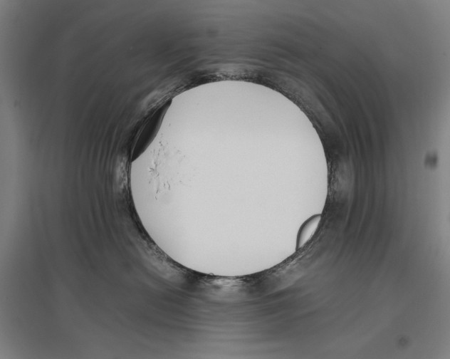 X0000096650478200803041153