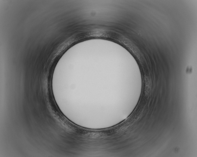 X0000096650482200803041152