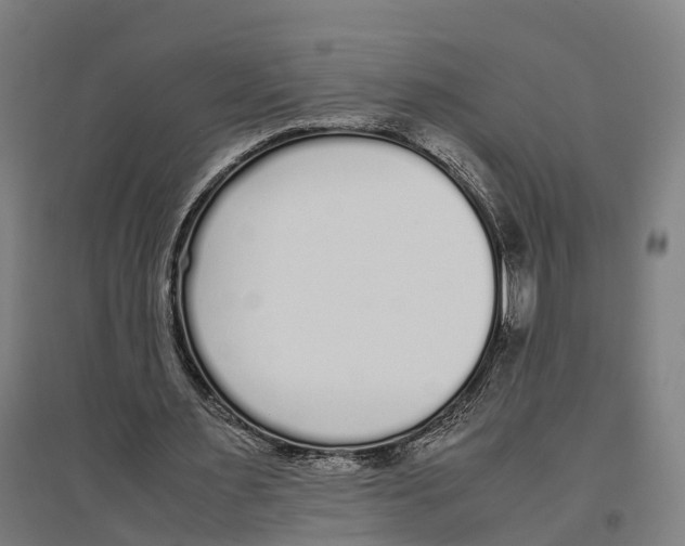 X0000096650483200803041152