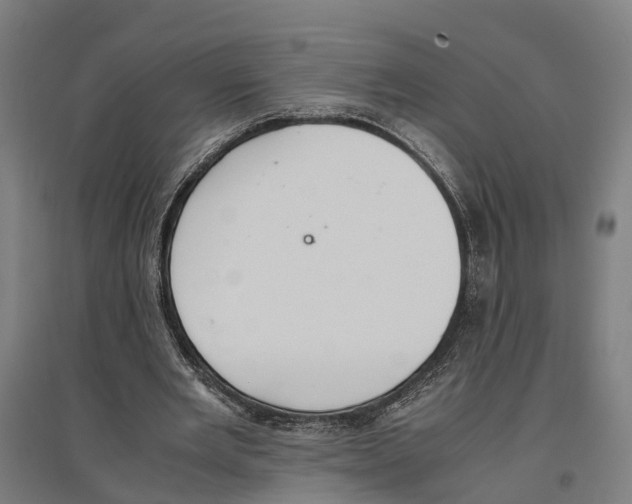 X0000096650485200803041152