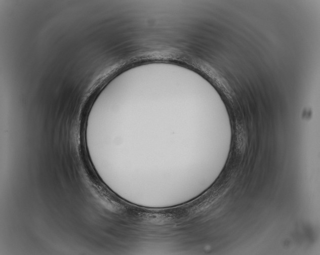 X0000096650486200803041152