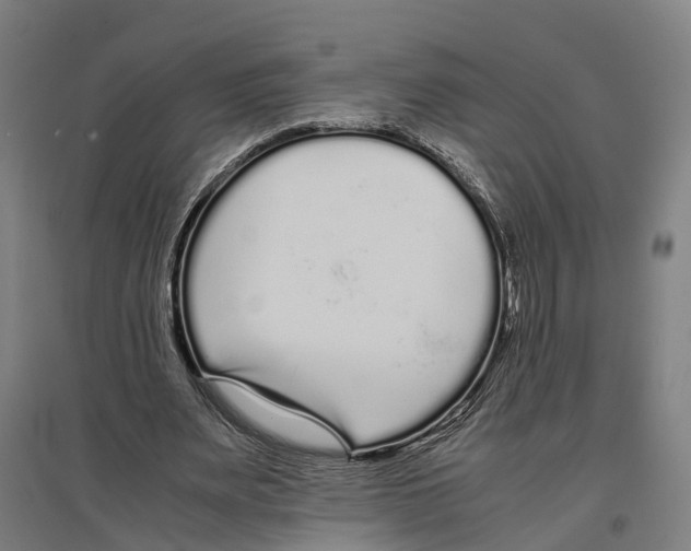 X0000096650487200803041152