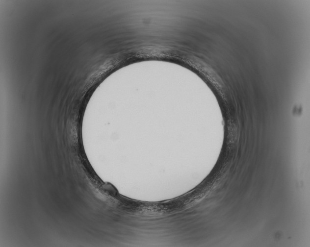 X0000096650489200803041152