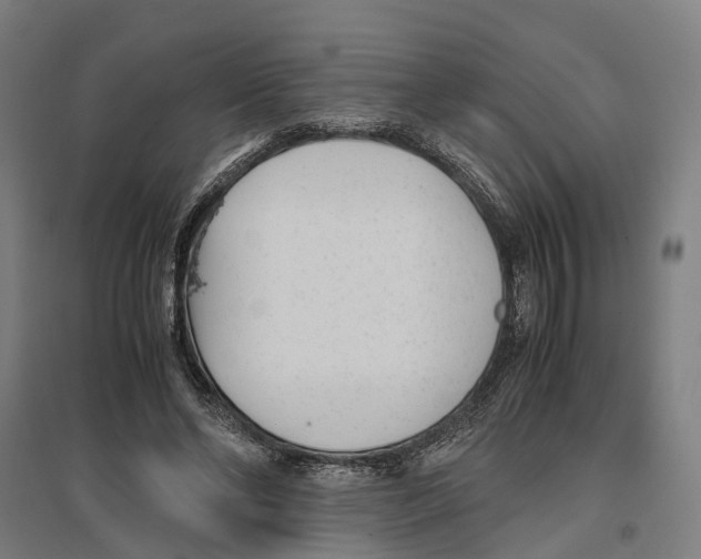 X0000096650494200803041152