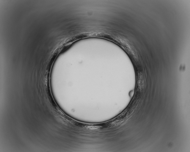 X0000096650495200803041152