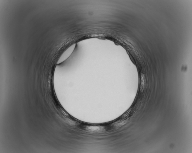 X0000096650499200803041152