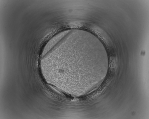 X0000096650501200803041152