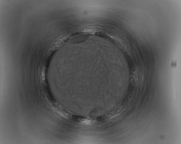 X0000096650504200803041152