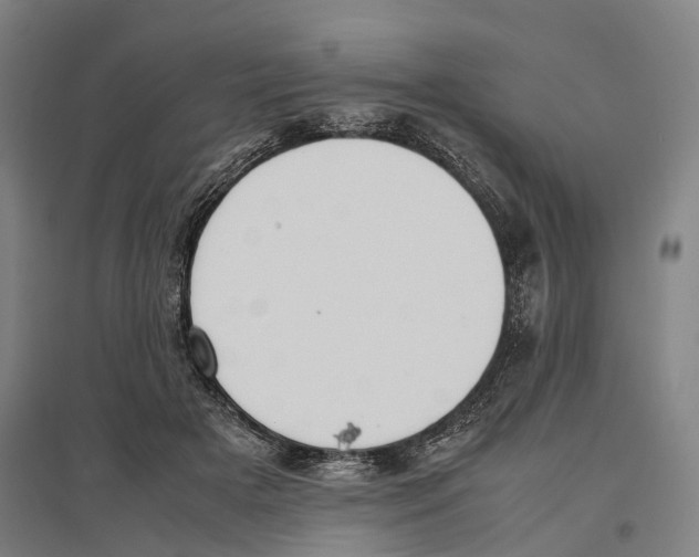 X0000096650505200803041152