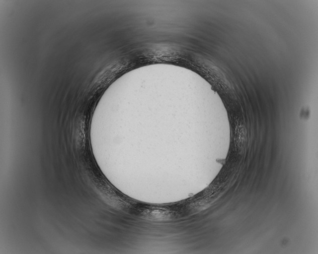 X0000096650506200803041152