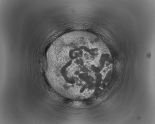 X0000096650507200803041152