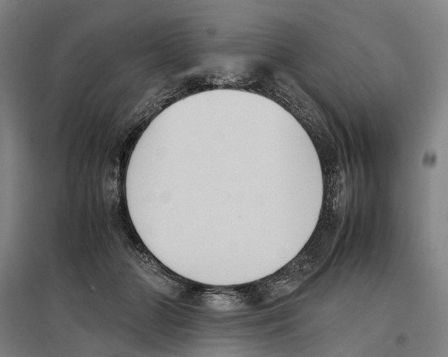 X0000096650510200803041152