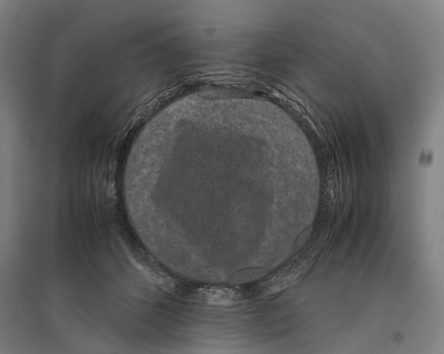 X0000096650512200803041152