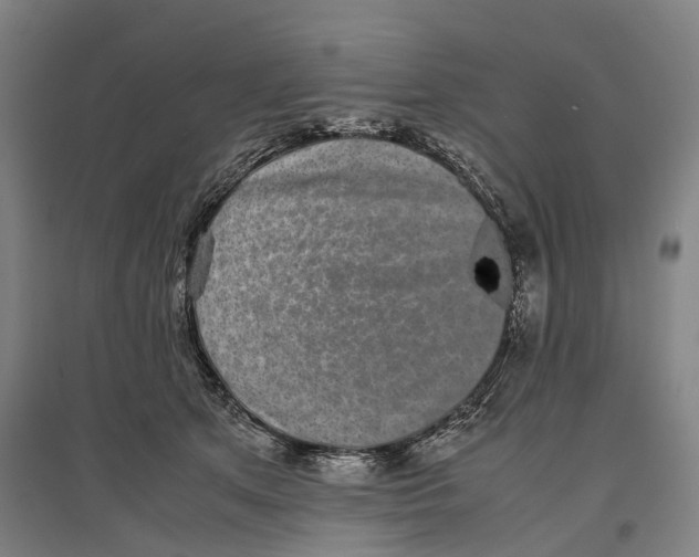 X0000096650513200803041152