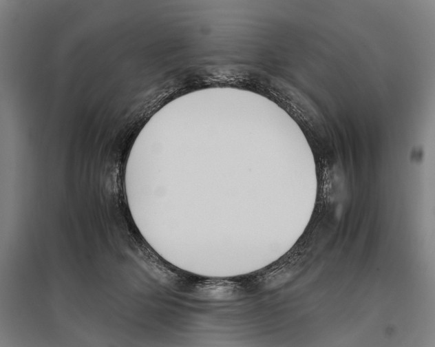 X0000096650514200803041152