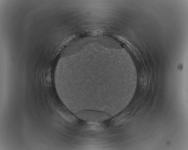 X0000096650516200803041152