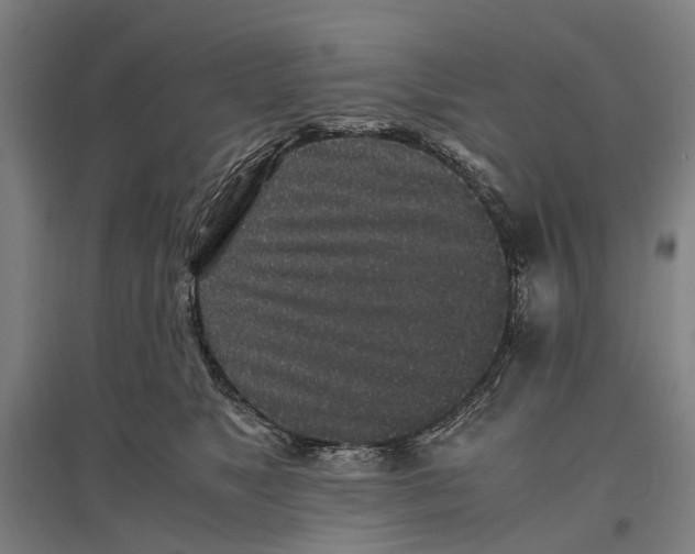 X0000096650517200803041152