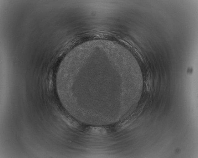 X0000096650520200803041152