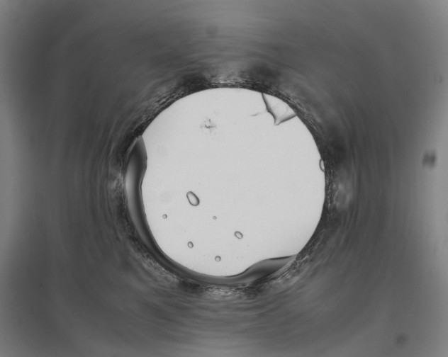 X0000096650521200803041152