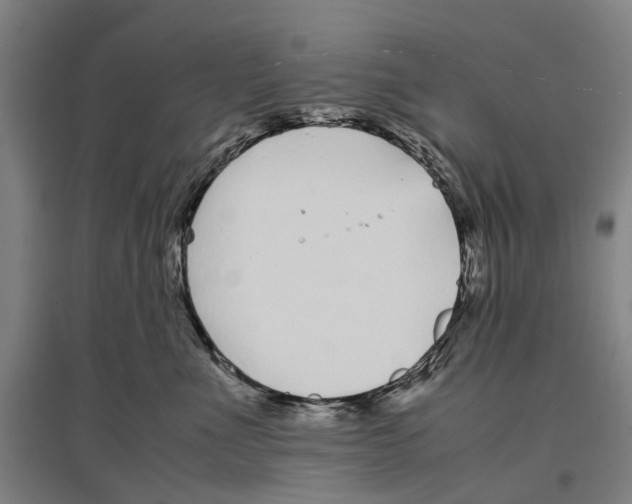 X0000096650523200803041152