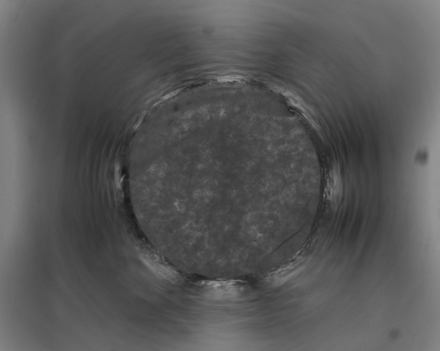 X0000096650524200803041152