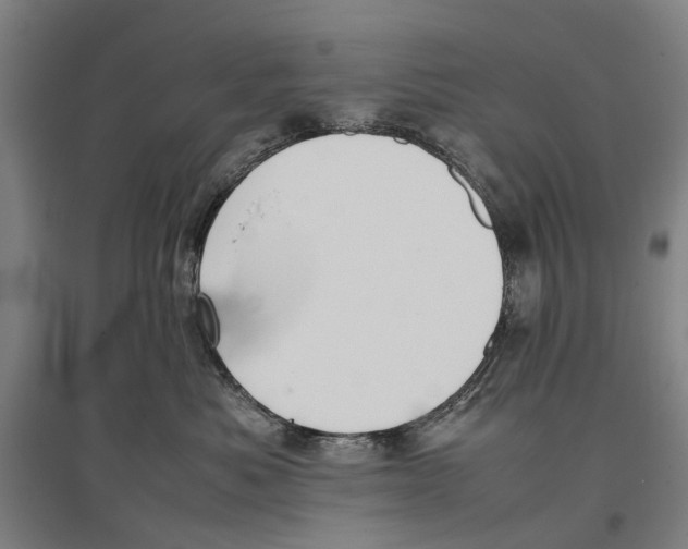 X0000096650525200803041152