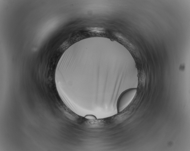 X0000096650526200803041152