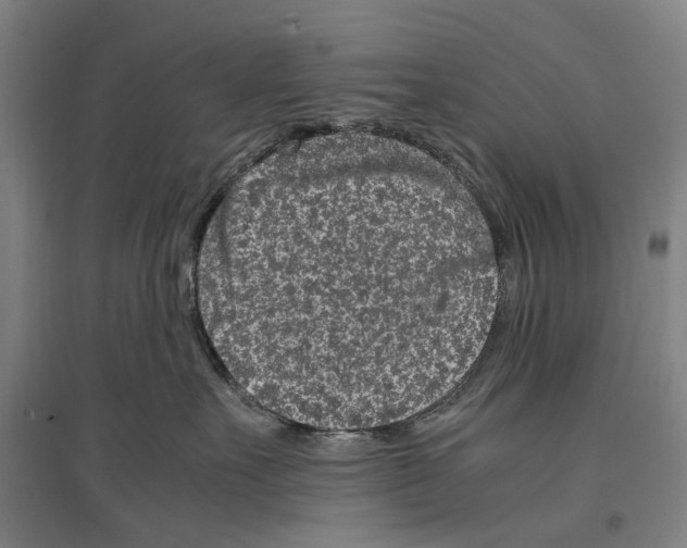 X0000096650527200803041152