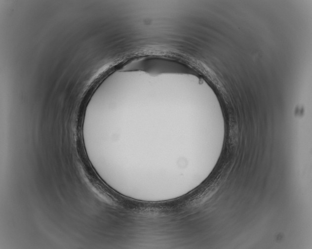 X0000096650530200803041151