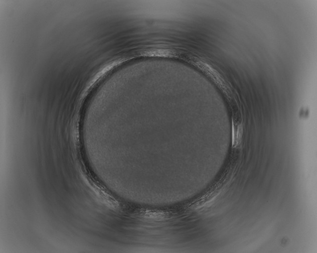 X0000096650531200803041151