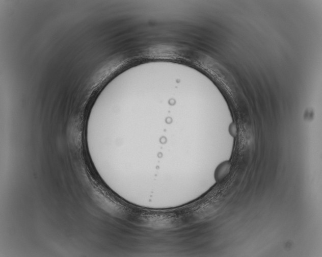 X0000096650533200803041151